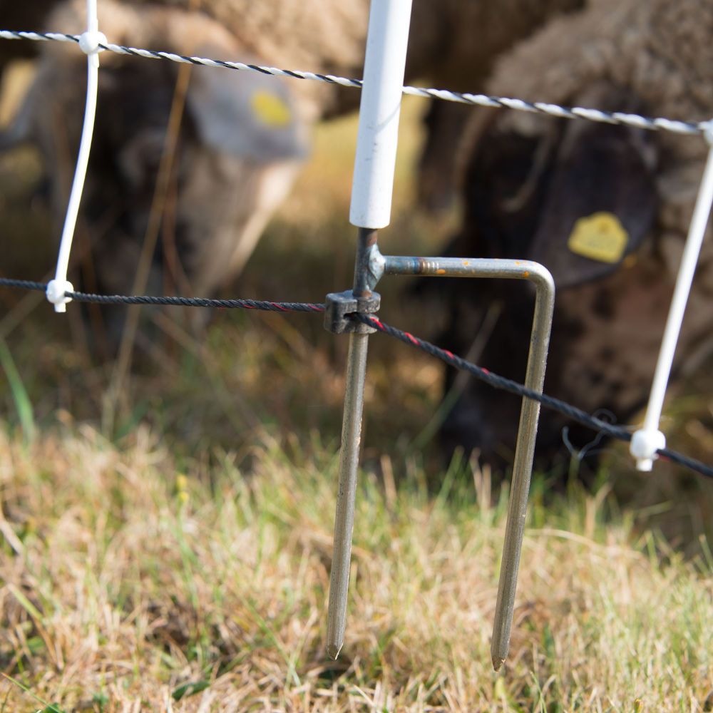 Filet moutons 50 m, h 90 cm, double pointe, turbomax