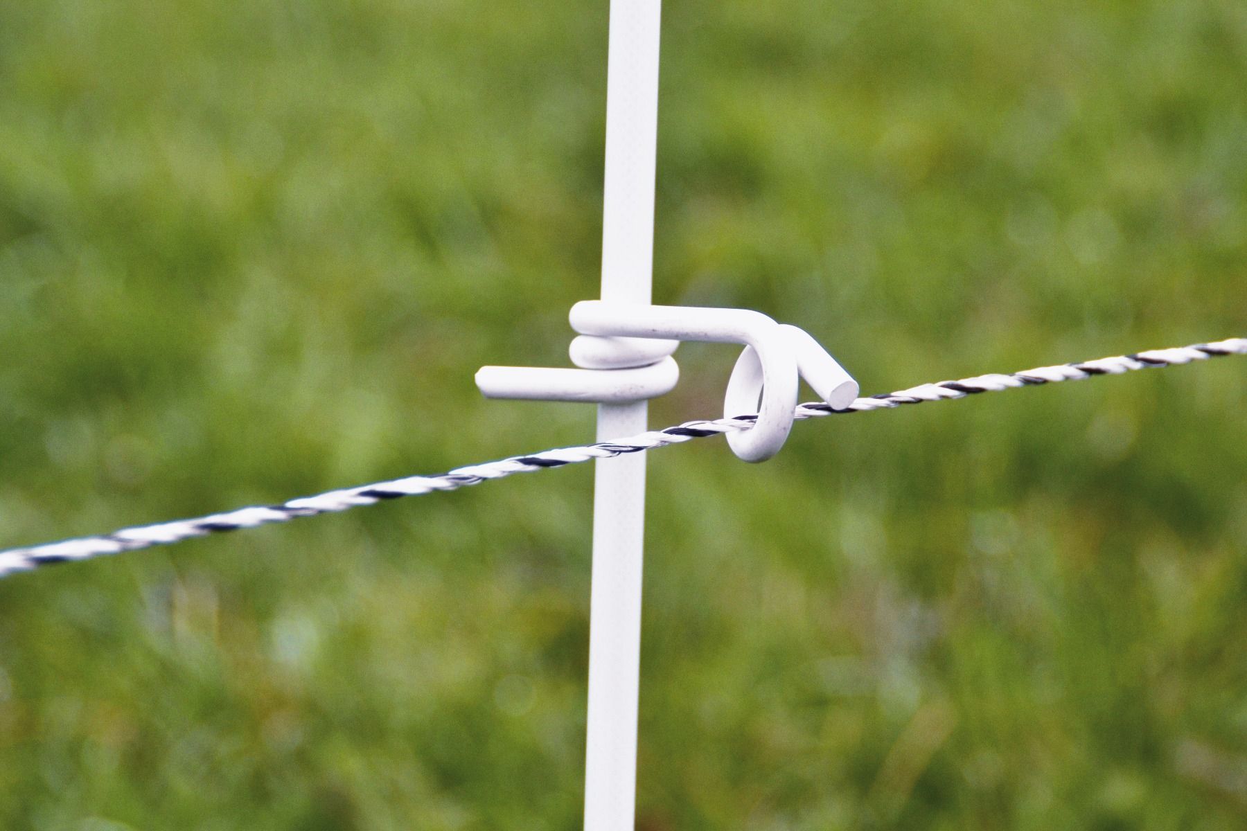 50 isolateurs œillets plastique HORIZONT 