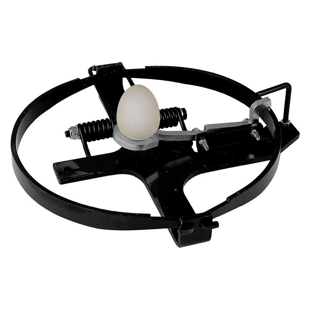 piège à oeuf 30 cm de diamètre