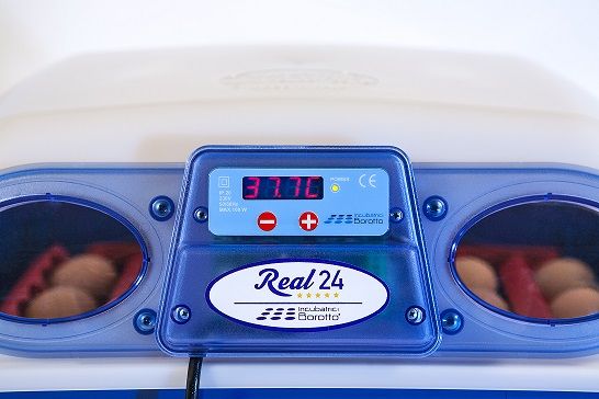 Couveuse digitale BOROTTO 24 oeufs automatique 