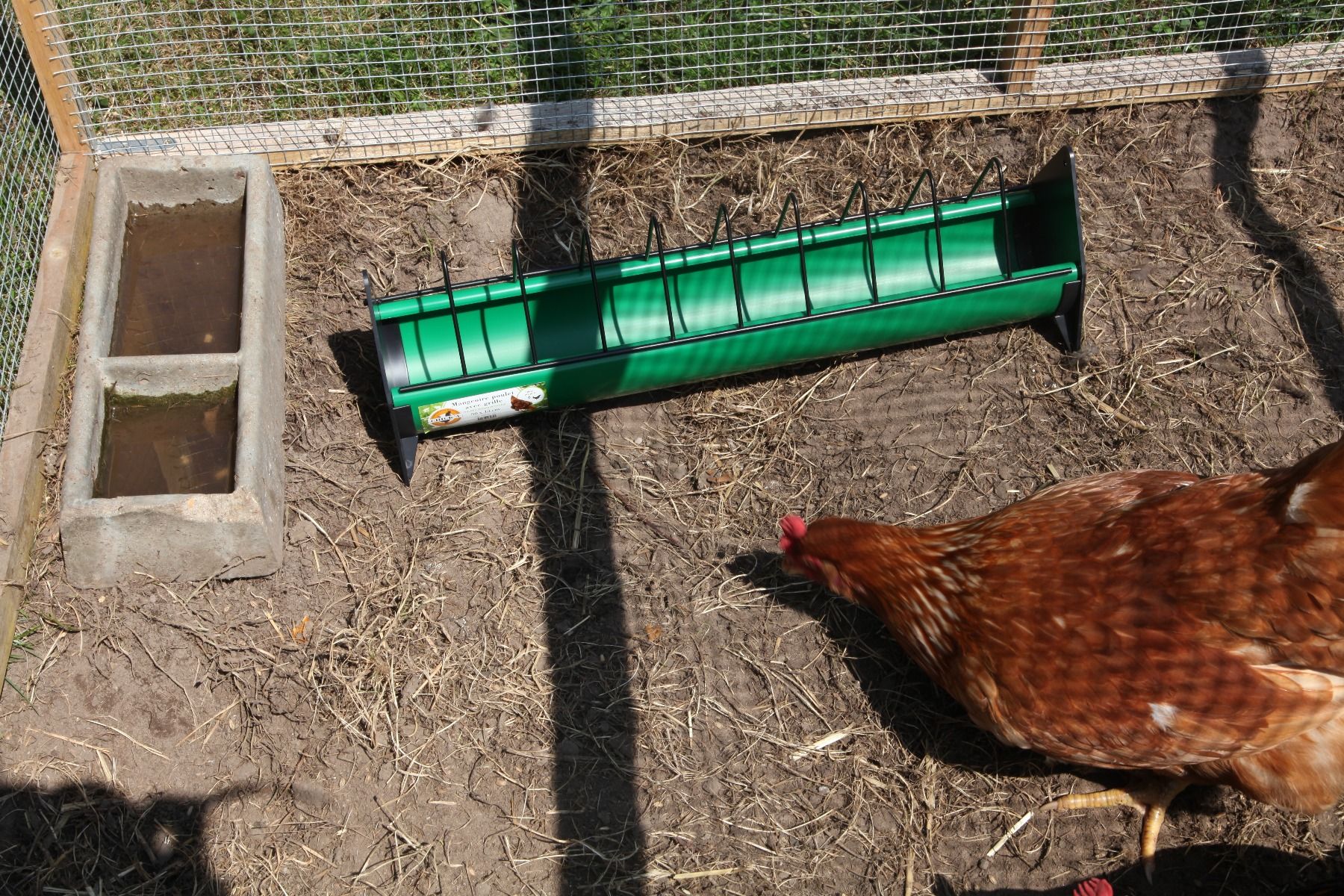 Nourrisseur poulet avec grille ligne verte 50 cm 