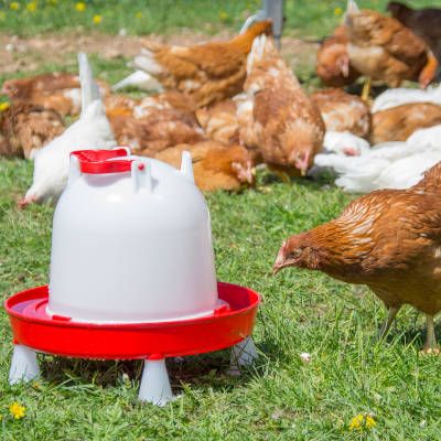 Abreuvoir “Combo” 12L