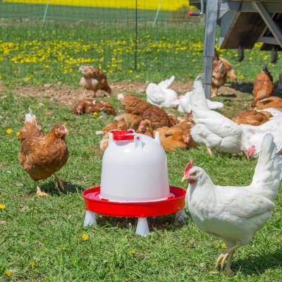 Abreuvoir “Combo” 6L