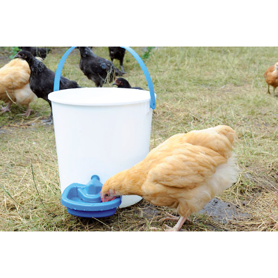 Abreuvoir 0,5L Maxi Cup multifonction