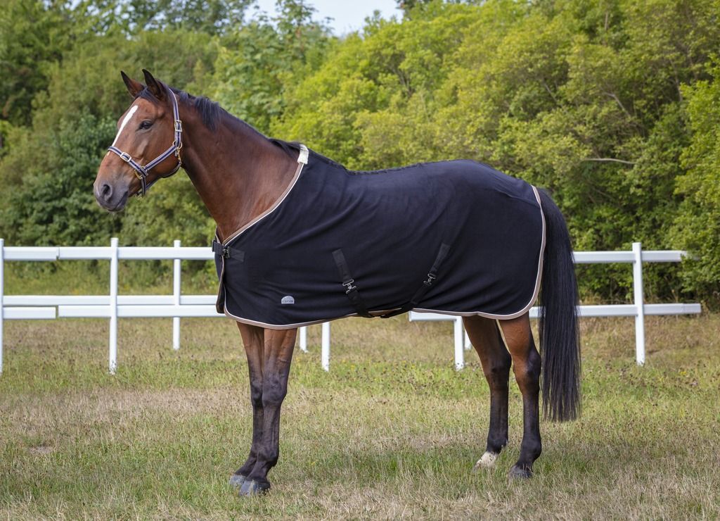 Licol polyfun noir EQUITHEME pour cheval