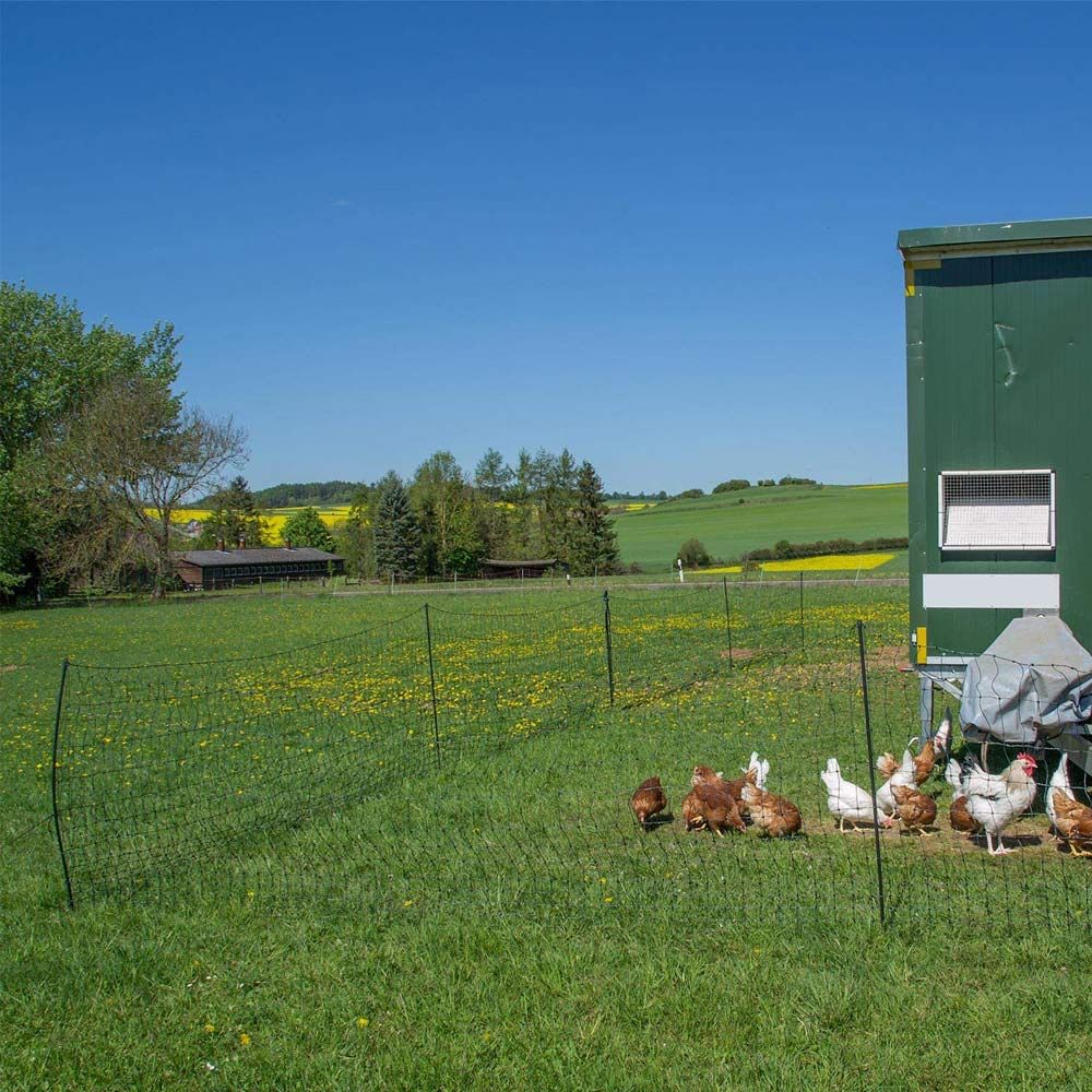 Filet volaille électrifiable 50m, h 1.2m 