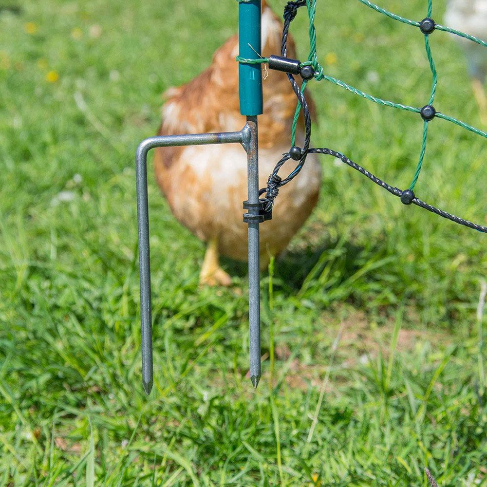 Filet volaille non électrifié 50 m, h 1.2 m