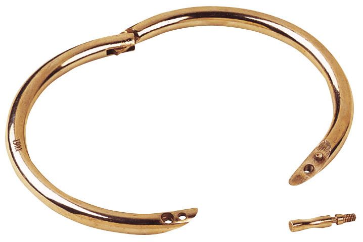 Anneaux taureau en laiton diamètre 100 mm