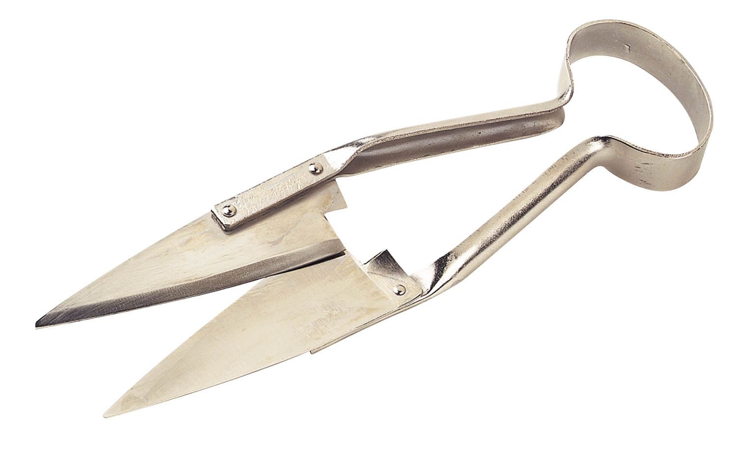 Force à tondre nickelées grand modèle