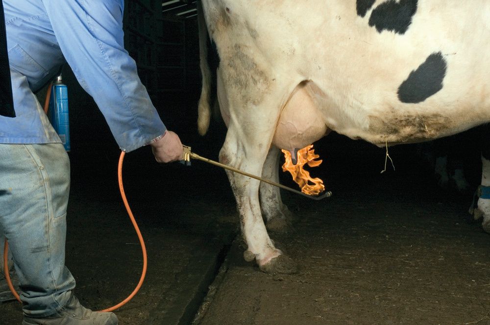 Epilateur lance thermique complet