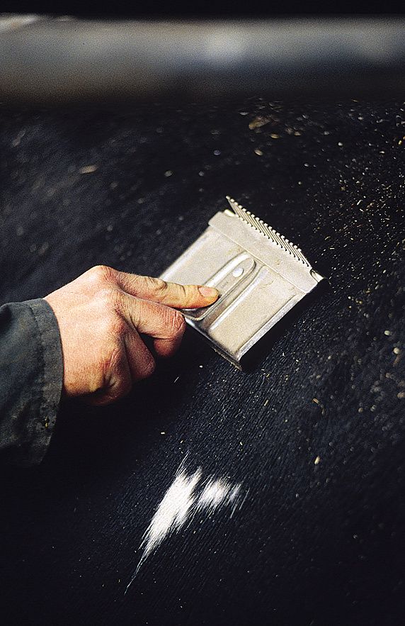 Etrille carrée corps plat pour bovins
