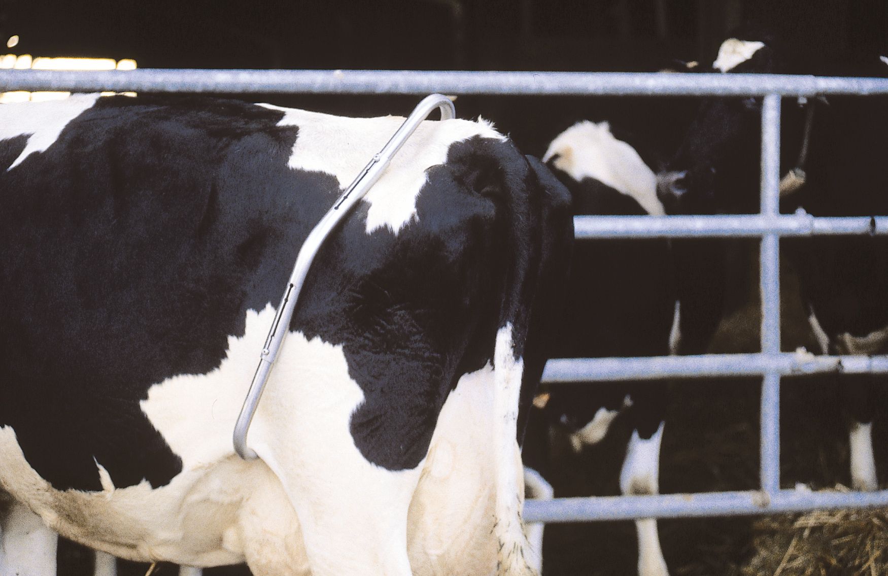 Entrave flanc en inox haut de gamme