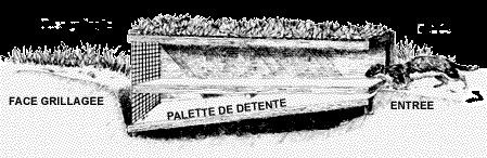 Belletière en bois - BOXTRAP, 49 x 6 x 8 cm