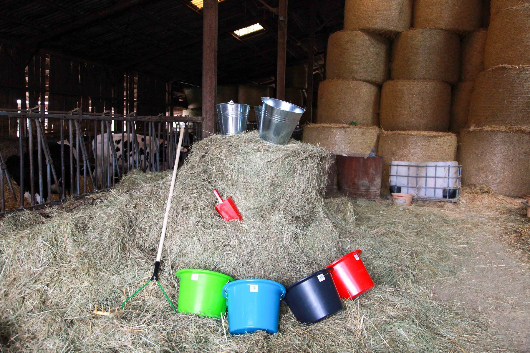 Râteau 16 dents, 64 cm