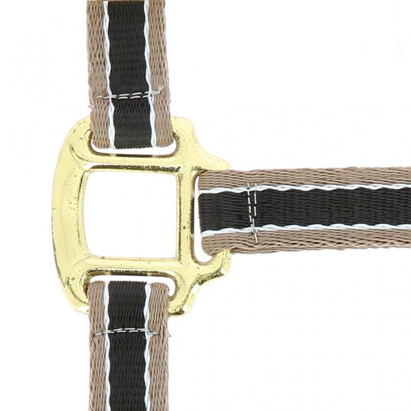 Licol polyfun noir EQUITHEME pour cheval