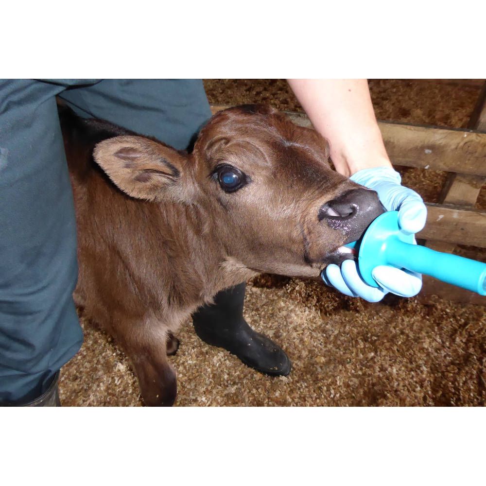4 Sacs de colostrum avec embout et tube Antahi