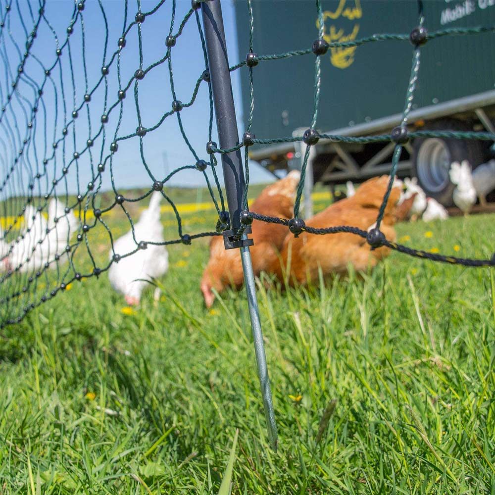 Filet volaille électrifiable 50m, h 1.2m 