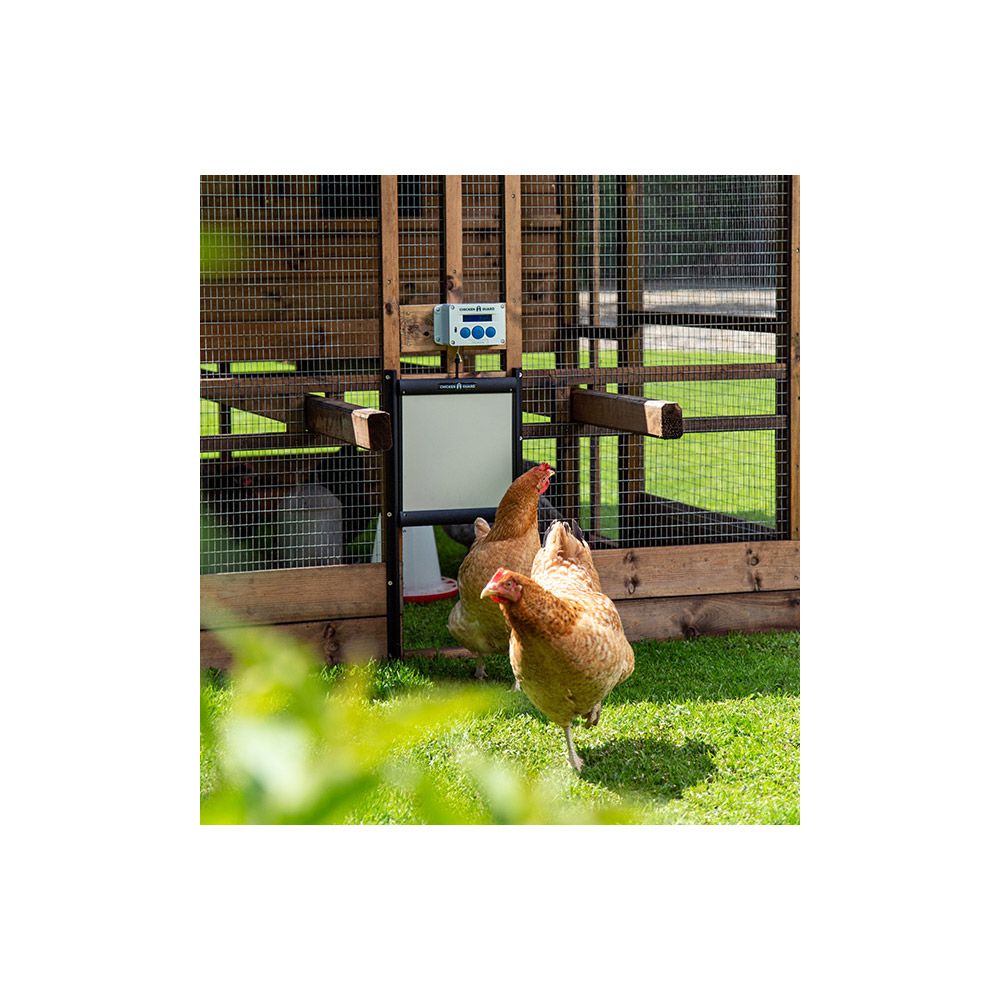 Portier automatique Chickenguard STANDARD
