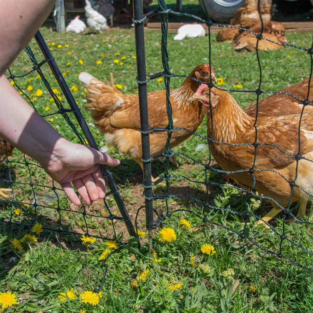 Portillon souple pour filet 