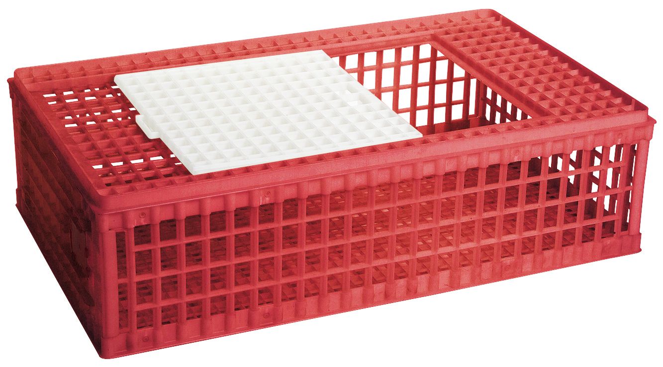 Caisse de transport pour volaille, en plastique, 1 porte