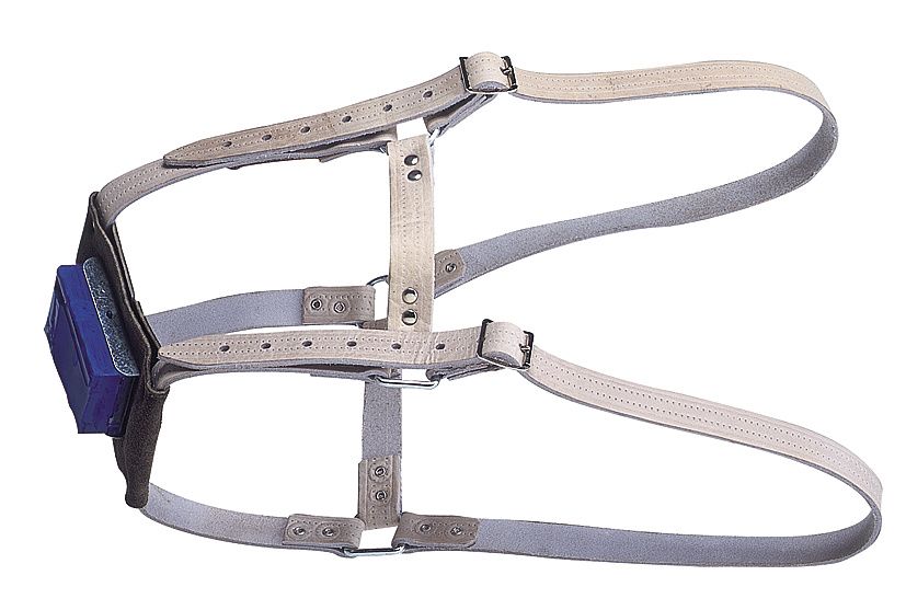 Harnais marqueur en cuir pour taureau