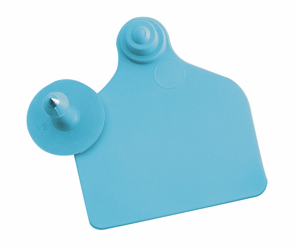 Boucles de marquage Ukalflex grande+bouton nue bleue