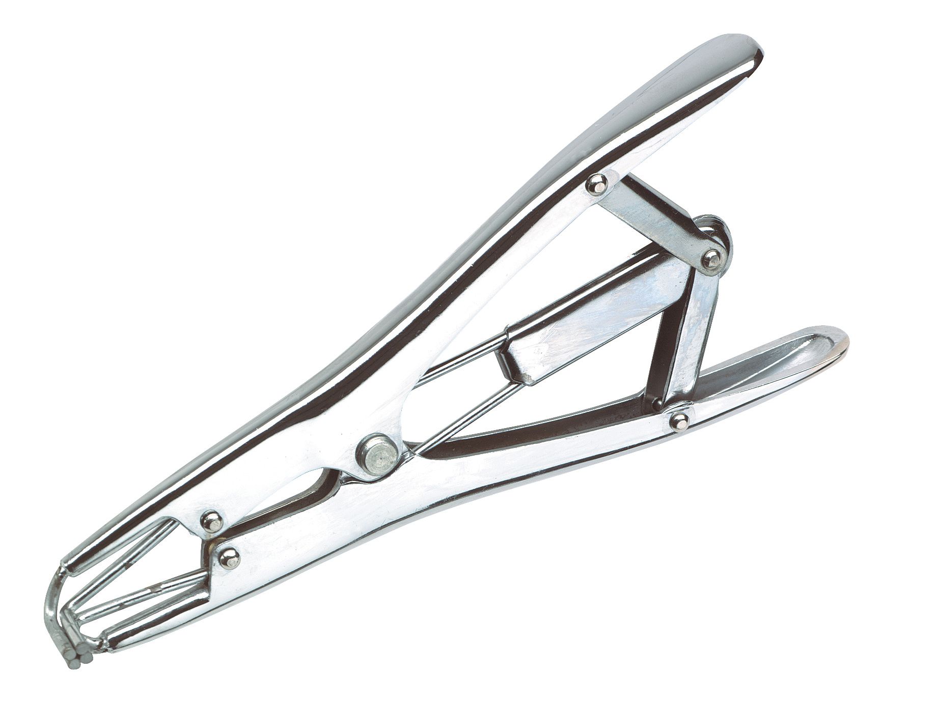 Pince pose anneaux de gomme standard