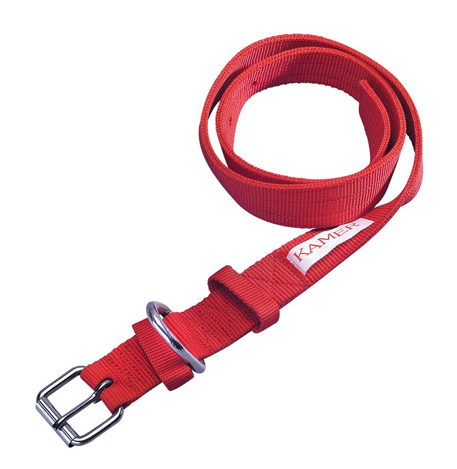 Collier en nylon pour vache pour passant d'identification rouge