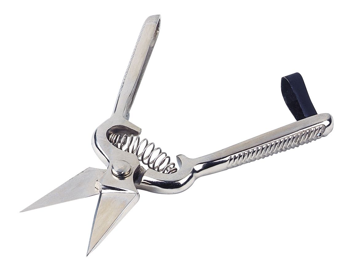 Cisaille onglons pour mouton, acier lames courtes non crantées