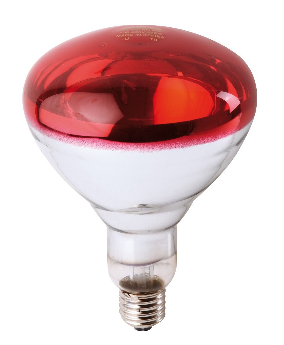 Ampoule PHILIPS IR à vis rouge 150W