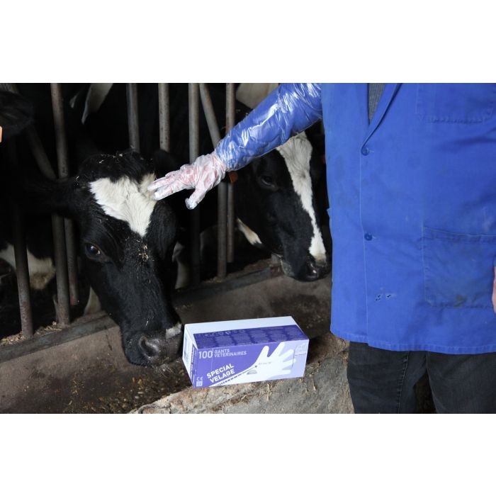 Photo ambiance gant Septicare 