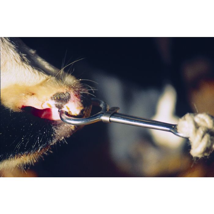 Pince mouchette à coulant acier nickelé