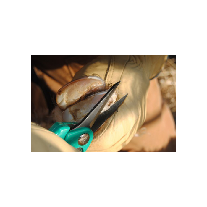 Cisaille onglons mouton premium