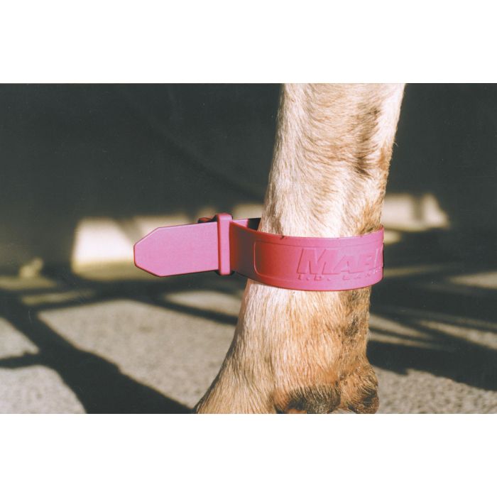 Bracelet plastique rose pour vache X4