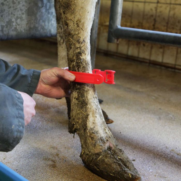 10 bracelets verts en plastique