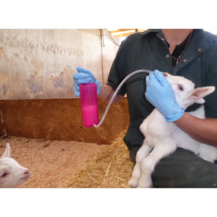 Rehydrateur agneau ANTAHI