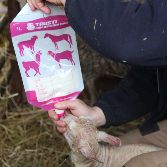 50 sacs de colostrum pour agneaux 1L ANTAHI 