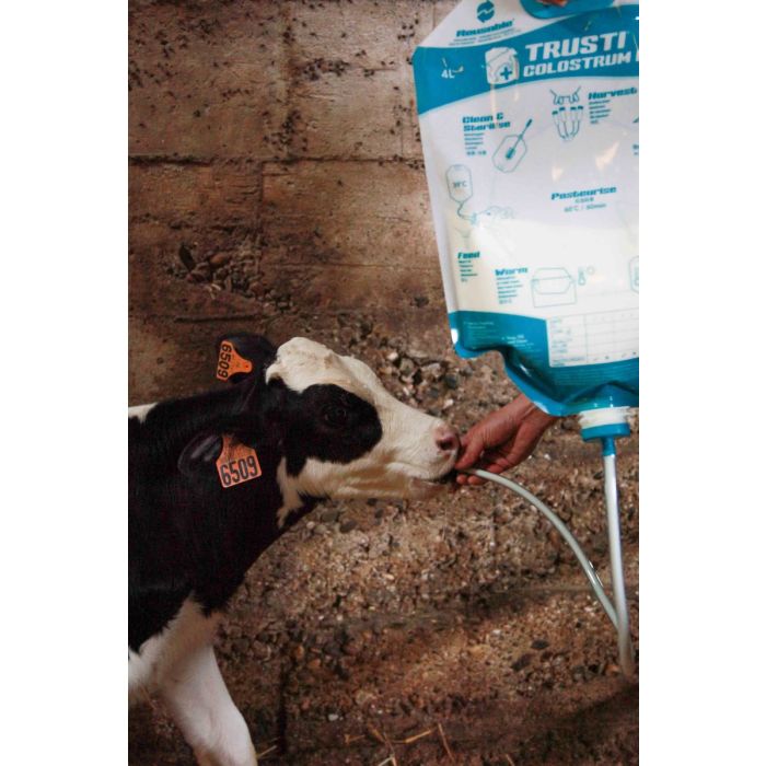 4 Sacs de colostrum avec embout et tube Antahi