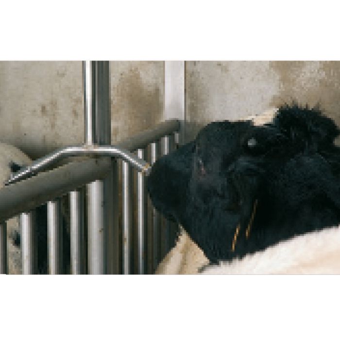 Descente d'abreuvement double parallèle à petite plaque