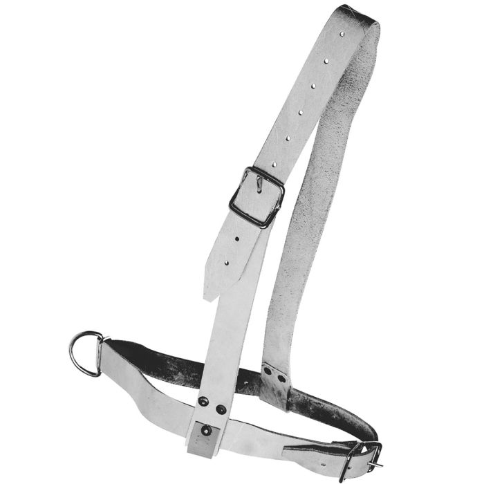 Licol taureau en cuir souple gris - KAMER