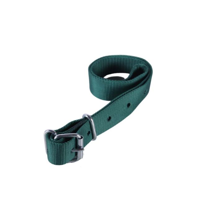 Collier en nylon pour vache pour passant d'identification vert