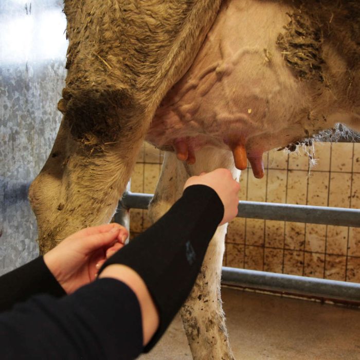 Paire de Manchettes de protection en néoprène - M 