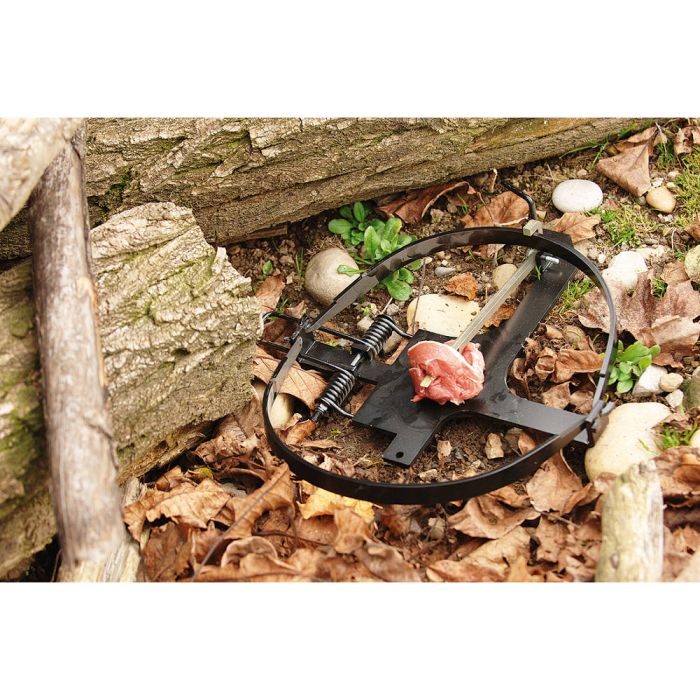 Piège à appât diamètre 30 cm