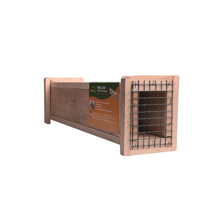 Belletière en bois - BOXTRAP, 49 x 6 x 8 cm