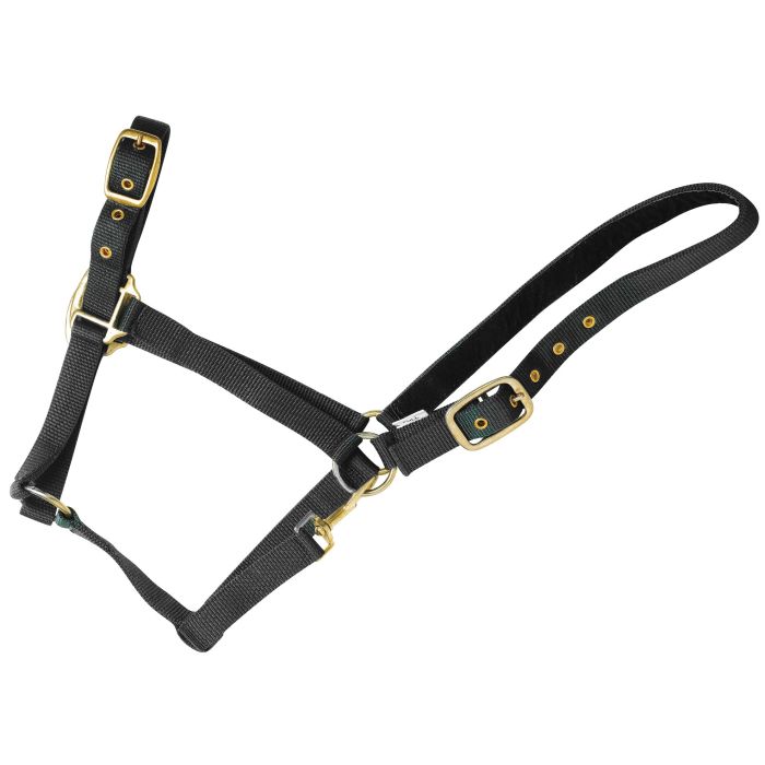 Licol nylon haut de gamme pur-sang noir