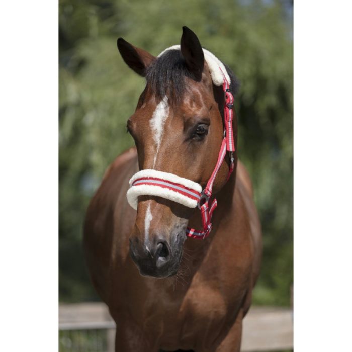 Licol en mouton synthétique doux rouge pour pur-sang 