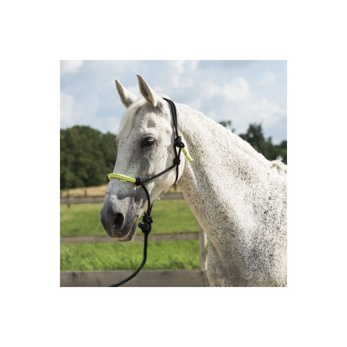 Licol éthologique NORTON  noir/ vert néon pur-sang