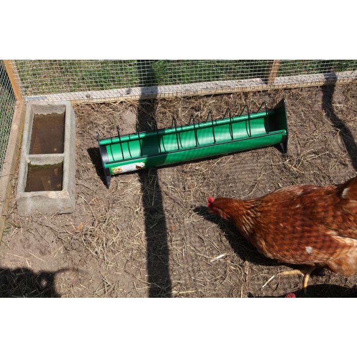 Nourrisseur poulet avec grille ligne verte 50 cm 