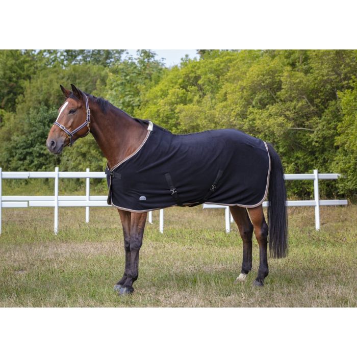 Licol polyfun noir EQUITHEME pour cheval