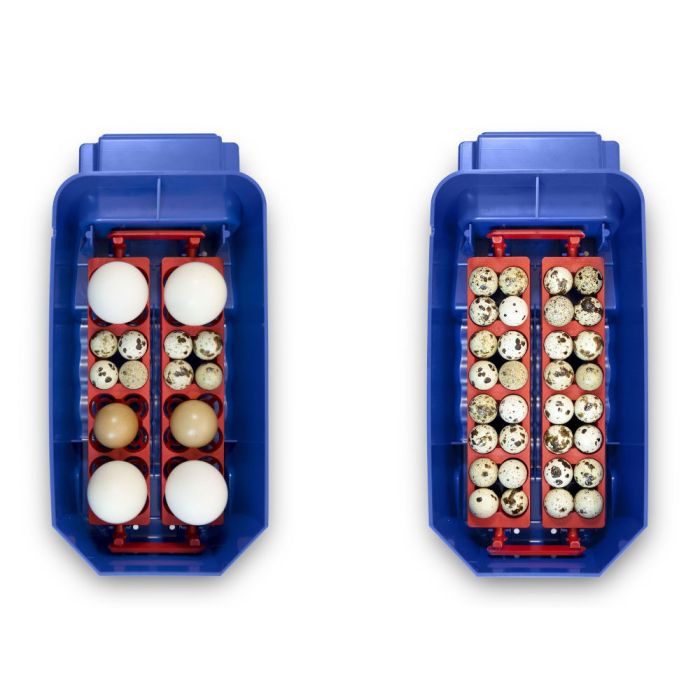 Couveuse automatique BOROTTO Lumia 8 oeufs